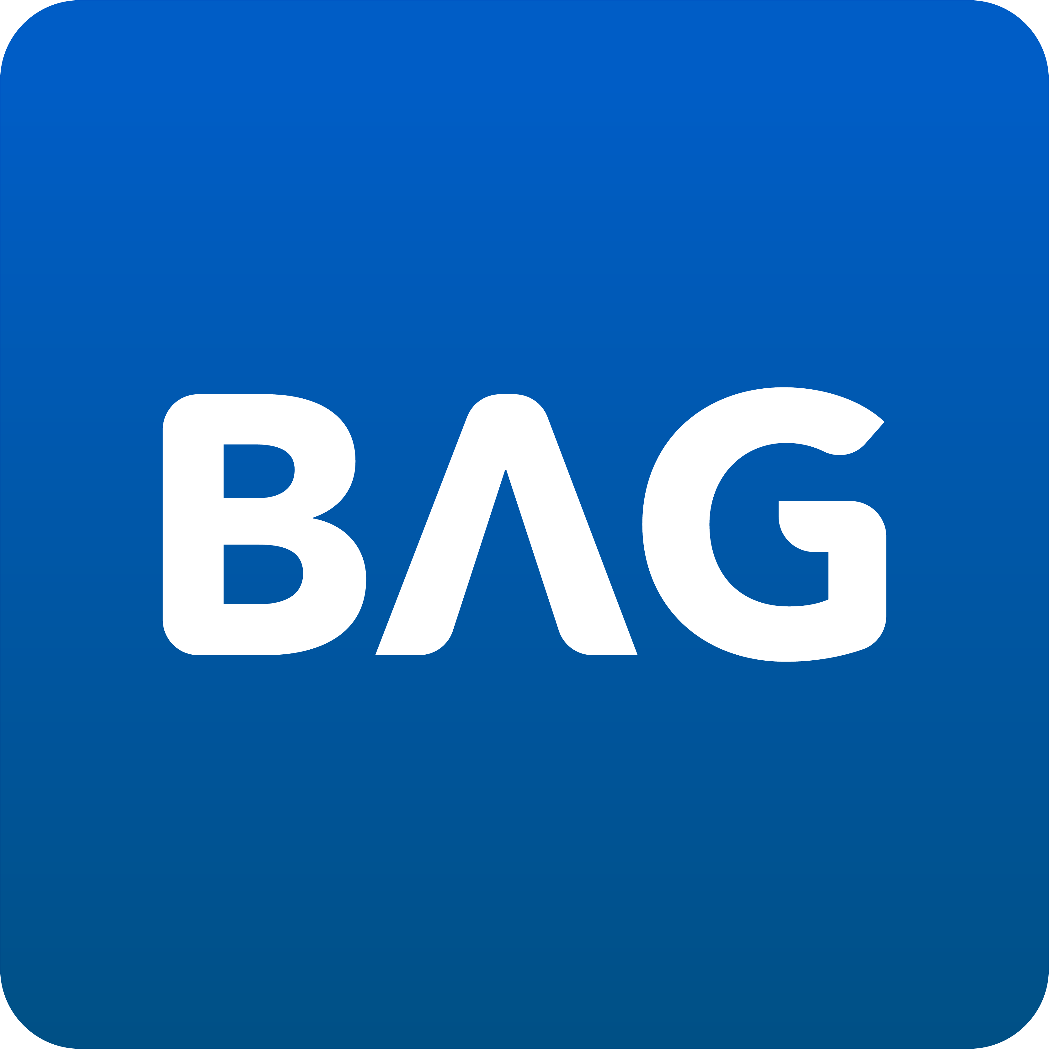 Bag Companies Logos